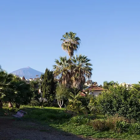 Live La Quinta Santa Úrsula